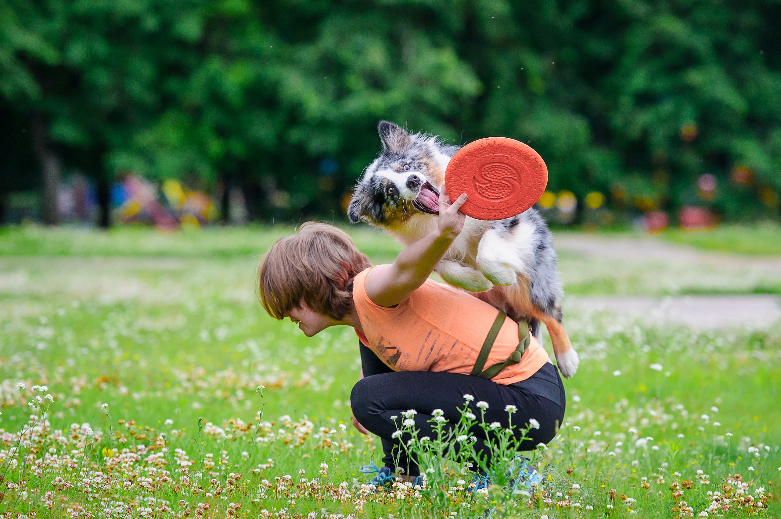 Летающая тарелка Doglike